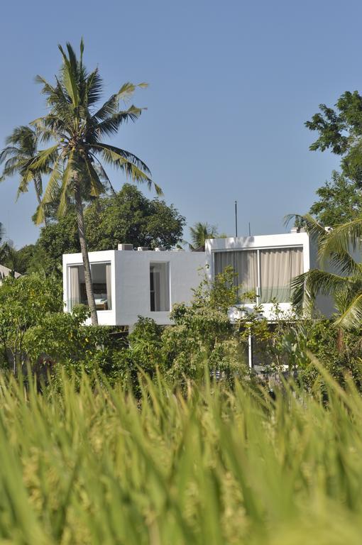 Villa Ashoka Canggu Екстериор снимка
